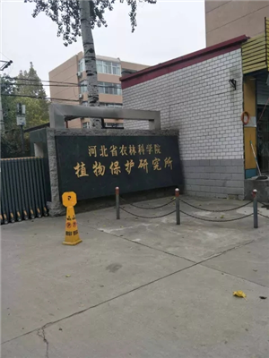 河北省農林科學院植物保護研究所