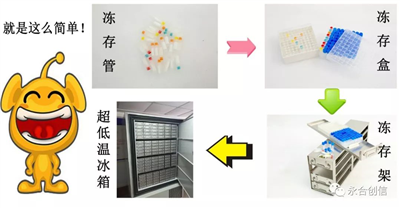 樣本凍存解決方案之凍存架、凍存盒、凍存管