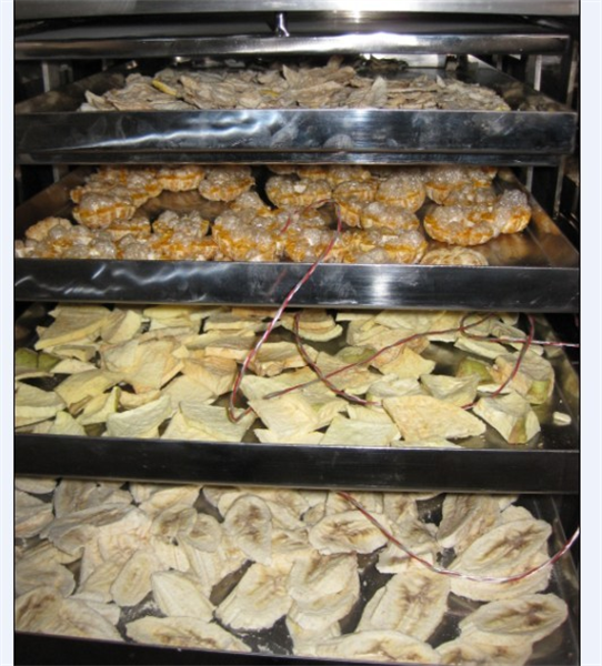 冷凍干燥機(jī)在食品凍干加工中需要注意哪些細(xì)節(jié)？