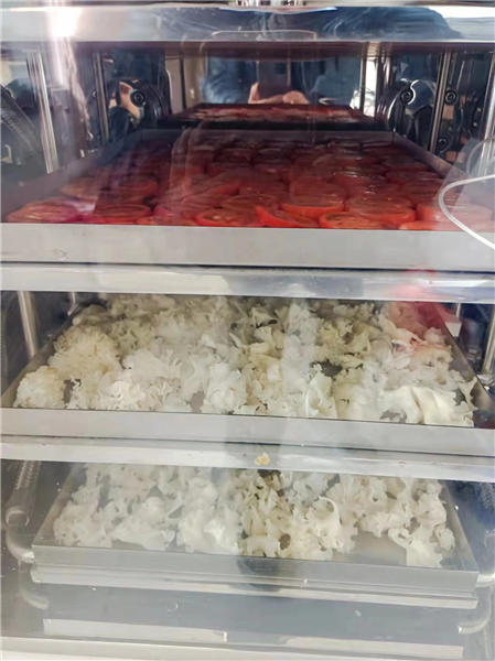 如何使用冷凍干燥機能延長其使用壽命？