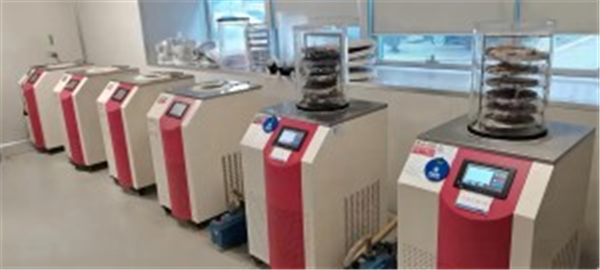 實驗室臺式冷凍干燥機核心性能剖析與應用考量