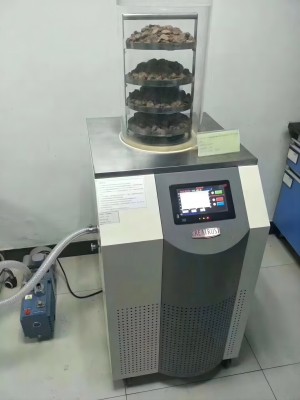 實(shí)驗(yàn)室凍干機(jī)2.jpg